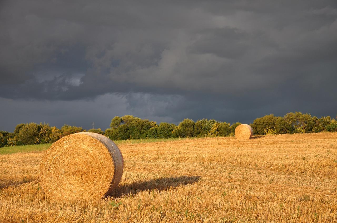 Agriturismo Il Forasacco Grosseto Esterno foto