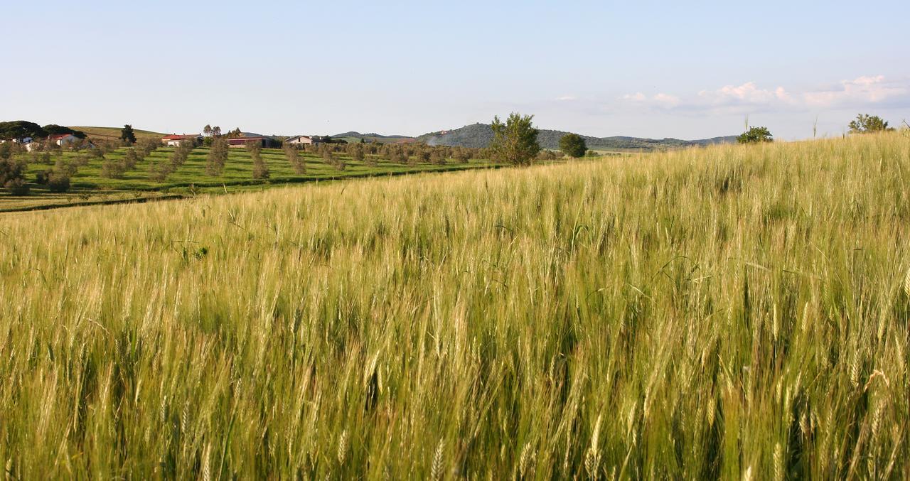 Agriturismo Il Forasacco Grosseto Esterno foto
